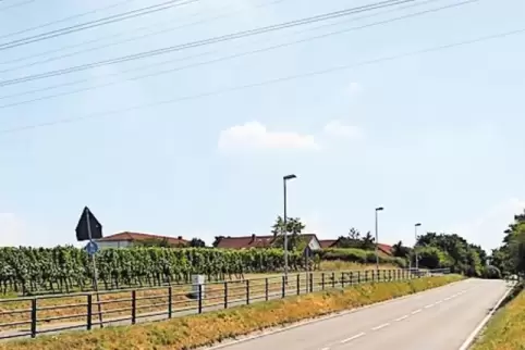 Zwischen Grünstadt und Asselheim sollen zwei neue Einkaufsmärkte gebaut werden.