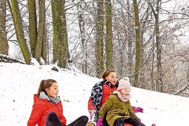 Laura, Vivien und Nelly nutzen den ersten Schnee in diesem Winter, um im Volkspark Schlitten zu fahren.