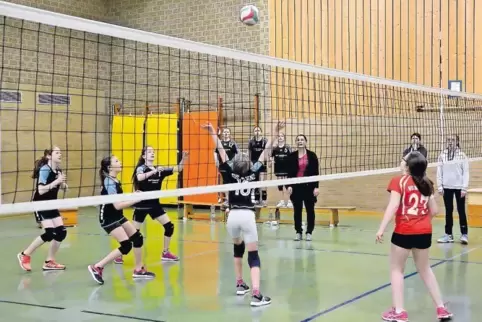 Besiegten nach zwei spannenden Sätzen den VfL Roxheim: die Alsenzer U14-Volleyballerinnen (linkes Spielfeld).