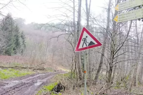 200.000 Euro stehen für den Ausbau des Radwegs im Zieglertal zwischen der Burg Gräfenstein bei Merzalben und Hinterweidenthal im