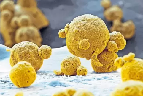 Mikroskopische Aufnahme eines Lithium-Nickel-Oxids, einer Komponente von Kathodenmaterialien für Lithium-Ionen-Batterien zum Ant