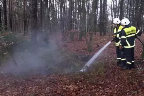 Die Feuerwehr löschte den Schwelbrand, den die im Wald entsorgte Glut ausgelöst hatte.  Foto: Feuerwehr/frei 