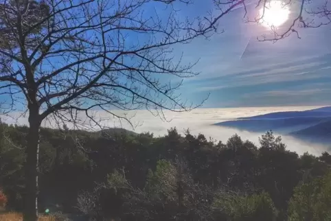Schön, frostig, schneefrei: Blick von der Hohen Loog bei Neustadt auf die neblige Rheinebene am zweiten Weihnachtsfeiertag. Foto