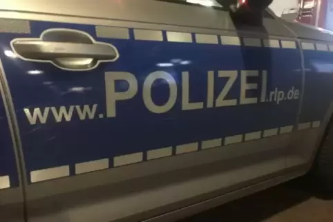 Eine Zugreisende glaubte, auf einem Rangiergleis bei St. Wendel eine mutmaßliche Kinderleiche gesehen zu haben und meldete ihre 