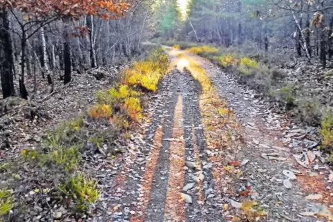 Lange Schatten gibt es in der tief stehenden Wintersonne.