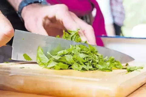 Lecker und gesund: Wildkräuter wie Giersch sind im Trend – auch bei der Volkshochschule.