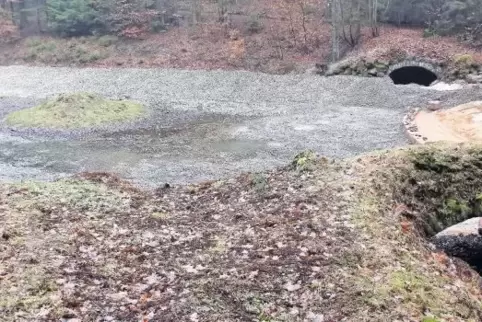 Die Bauarbeiten am Schwanenweiher haben begonnen, wenn auch ein Dreivierteljahr später als geplant.