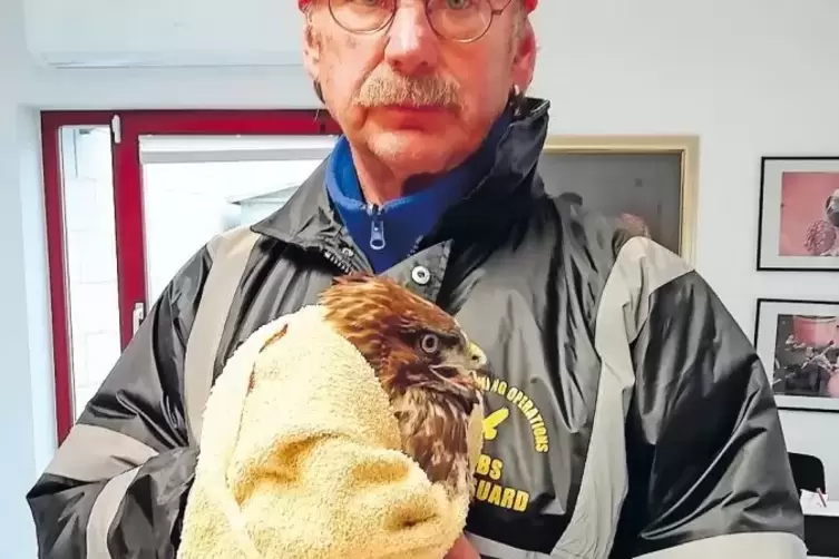 Tiersch&uuml;tzer Willy Schuppert mit dem an der A 65 gefundenen verletzten Bussard.
