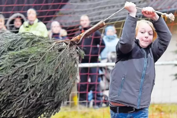 Vergangenes Jahr in Weidenthal: Lennox Wernz aus Meckenheim beim Christbaum-Schleuderwurf.