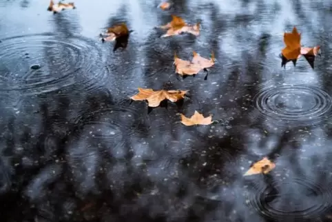 Zur kommenden Woche gehören Regen und Schnee- Foto: dpa 