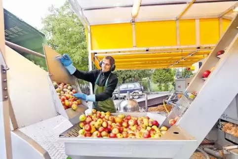 Im September will Büchelberg wieder einen „Erlebnistag Streuobst“ ausrichten.