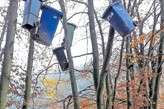 Drei Wochen lang hingen Mülltonnen in den Bäumen. Drei Wochen lang hingen Mülltonnen in den Bäumen.