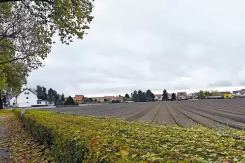 Bietet Platz für Neubauten: der Bereich Dorfgärten.