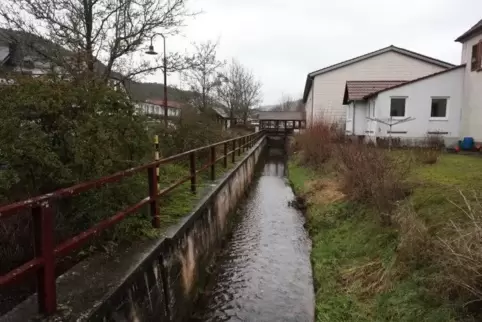 Der Mann fiel hinter der Wilgartishalle in die seichte Queich.  Foto: van 