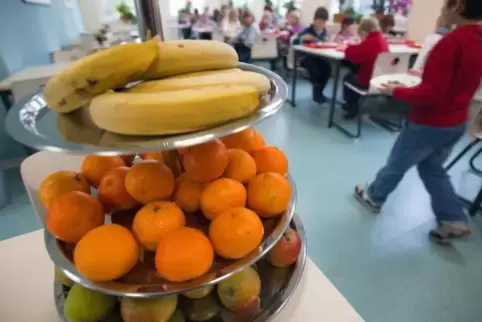 „Ernährungsbildung ist uns wichtig“, betont Umwelt- und Verbraucherschutzminister Reinhold Jost (SPD). Foto: dpa 
