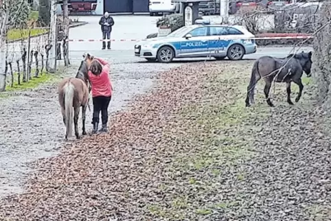Mit Absperrband setzten die Beamten die Tiere fest.