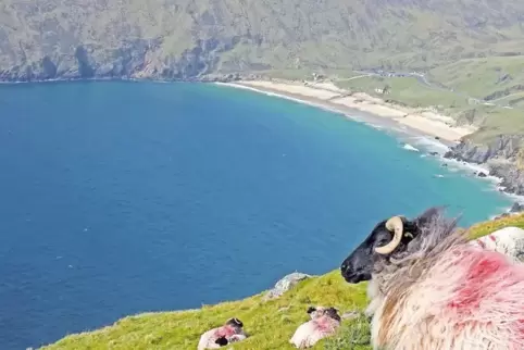 Die Insel Achill ist mit 146 Quadratkilometern die größte Insel Irlands, abgesehen von der Hauptinsel. Der Strand Keem Bay im äu