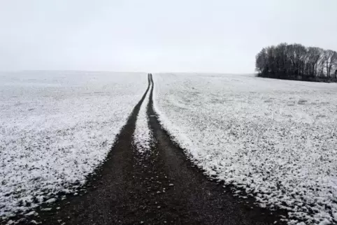 Am Freitag soll es laut Wetterdienst regnen und schneien. Symbolfoto: dpa 
