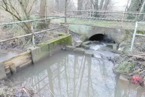 Der Horbach bei Barbelroth.