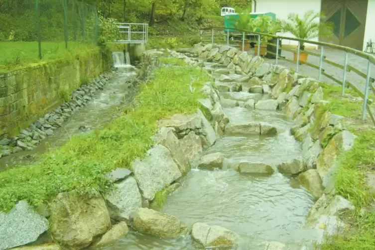 Fischtreppe am Klingbach in Klingenm&uuml;nster.