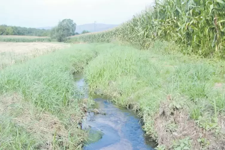 Der naturnah gestaltete Ru&szlig;bach.