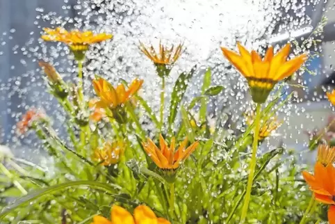 Wasser für die Blumen in der Innenstadt.