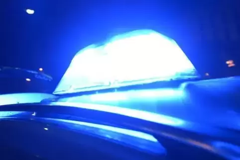 Ein Blaulicht dürfen in Deutschland nur ausgewählte Fahrzeuge einsetzen. Foto: dpa