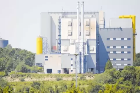 Auch Müll aus der Südpfalz wird in der Müllverbrennungsanlage in Pirmasens angeliefert.