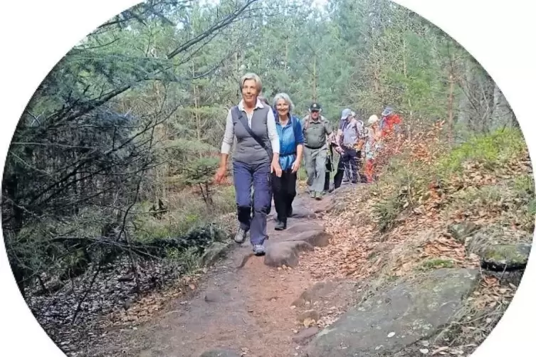 Auf dem „Schusterpfad“ – Frauen voran bei Wanderungen des Pfälzerwald-Vereins Schaidt.