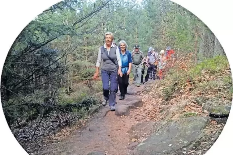 Auf dem &bdquo;Schusterpfad&ldquo; &ndash; Frauen voran bei Wanderungen des Pf&auml;lzerwald-Vereins Schaidt.