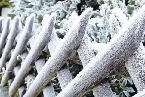 Bis jetzt gab es in diesem Winter im Landkreis meist Rauhreif statt Schnee, doch das könnte sich bald ändern.