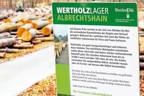 Am Albrechtshain in Johanniskreuz werden Eichenstämme gelagert. Die Käufer schauen ganz genau hin, um die beste Qualität zu erwi