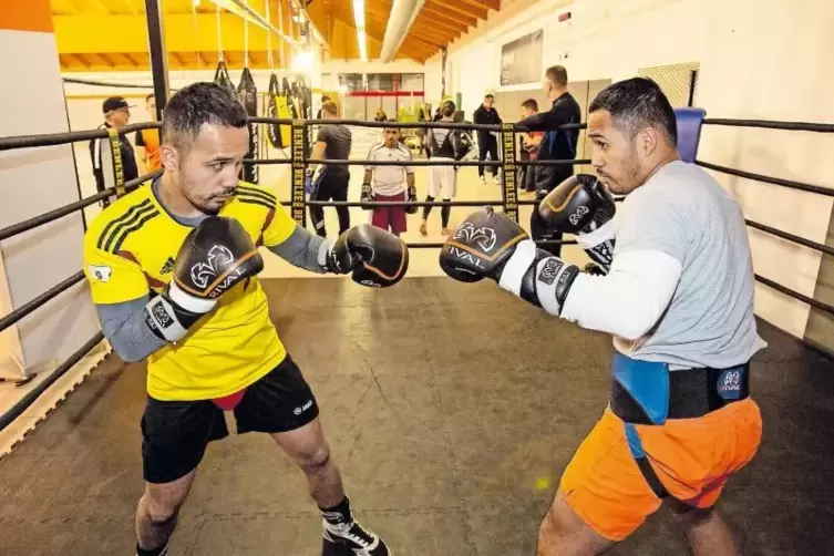 Die boxenden Zwillinge beim Sparring: Joan Lique Canaveral (rechts) und sein f&uuml;nf Minuten &auml;lterer Bruder Emmanuel. Beide k&auml;mpfen