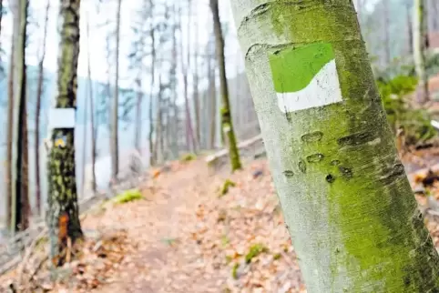 Über Wanderwege und Mountainbike-Routen sollen sich Gäste künftig im Welcome-Center am Bahnhof Schopp auch digital informieren k