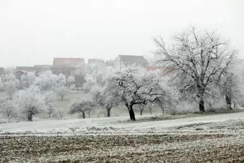 Es könnte eisig werden.  Symbolfoto: Steinmetz
