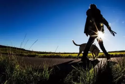 Die 16-Jährige war gerade mit ihrem Hund unterwegs.  Symbolfoto: Christoph Schmidt/dpa