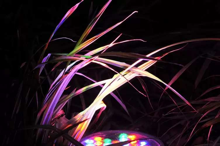 winterlichter-1295.JPG