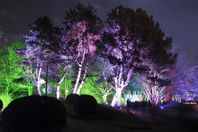 winterlichter-1279.JPG