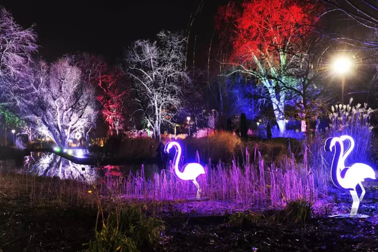 winterlichter-1256.JPG