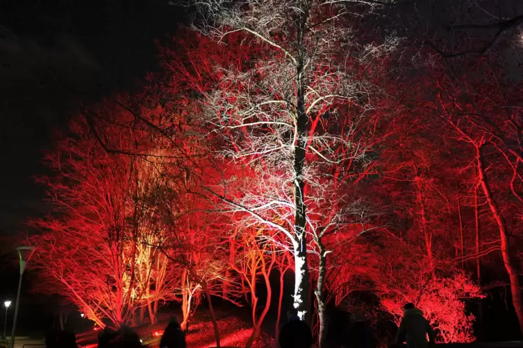 winterlichter-1268.JPG