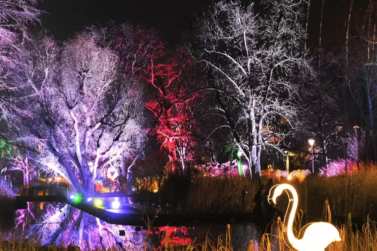 winterlichter-1257.JPG