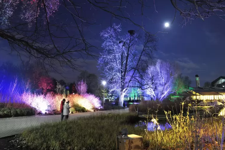 winterlichter-1291.JPG