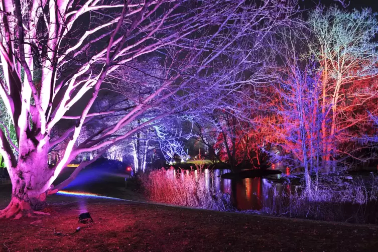 winterlichter-1277.JPG