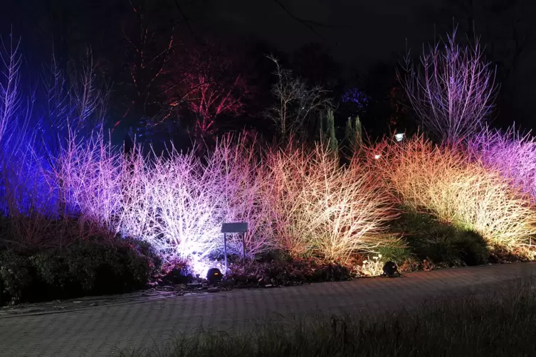 winterlichter-1292.JPG