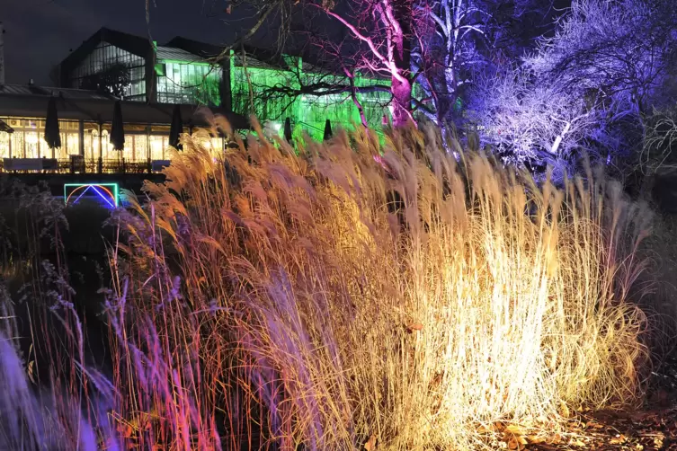winterlichter-1293.JPG