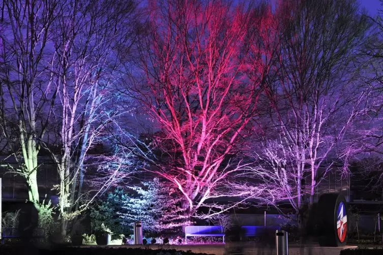 winterlichter-1303.JPG