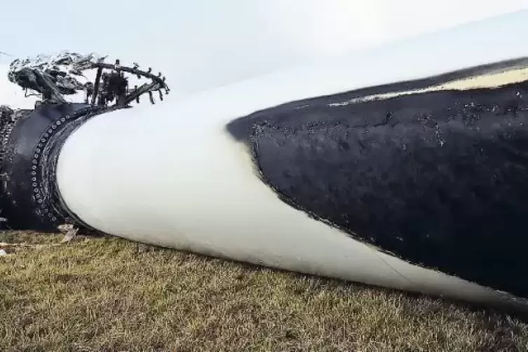 Freitagmorgen : Der Rotor des Windrads wird demontiert.