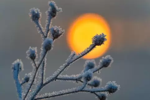 Kalter Wintermorgen, hier ein Symbolbild aus Brandenburg. Symbolbild: dpa