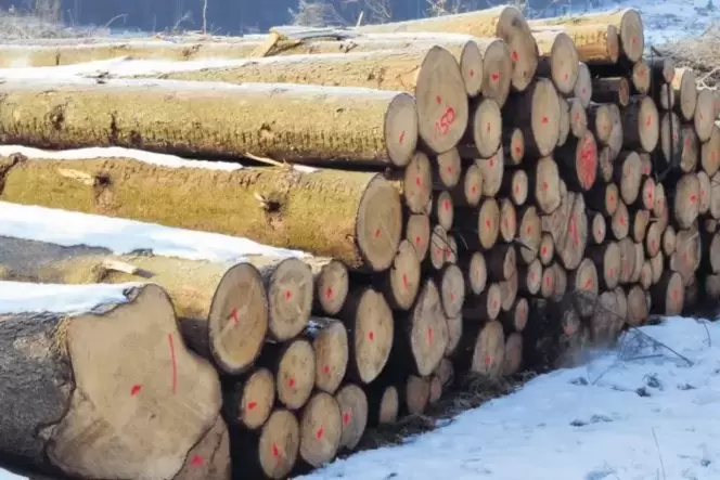 Die Lage auf dem Holzmarkt ist wegen des Borkenkäfers schwieriger geworden. Die Lage auf dem Holzmarkt ist wegen des Borkenkäfers schwieriger geworden.