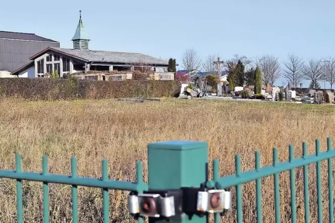 Hinter dem St. Martiner Friedhof soll ein Friedweinberg entstehen. Es wäre nicht der erste in Deutschland. Hinter dem St. Martiner Friedhof soll ein Friedweinberg entstehen. Es wäre nicht der erste in Deutschland.